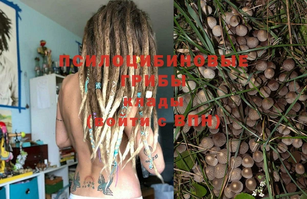 spice Беломорск