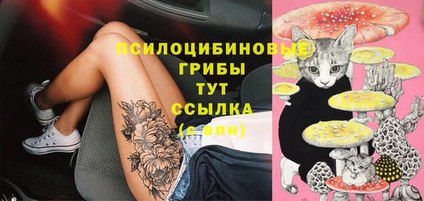 apvp Богородицк