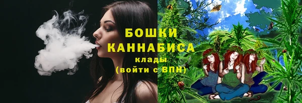 apvp Богородицк