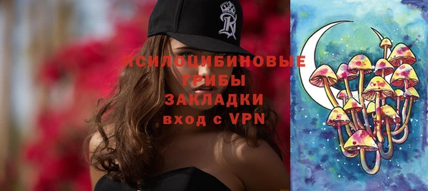 дживик Богданович