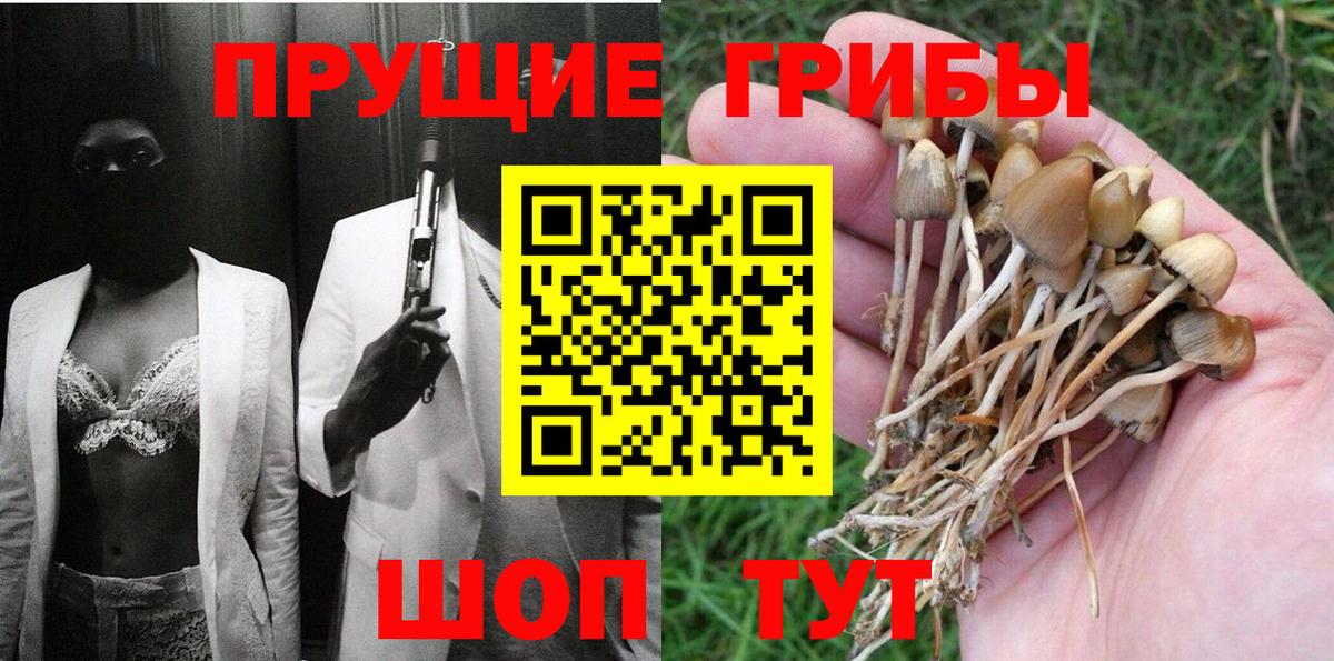 Галлюциногенные грибы Psilocybe  Вход с VPN  Галлюциногенные грибы Psilocybine cubensis  Дальнегорск 
