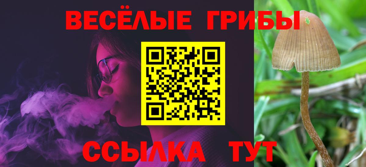 Галлюциногенные грибы GOLDEN TEACHER Дальнегорск